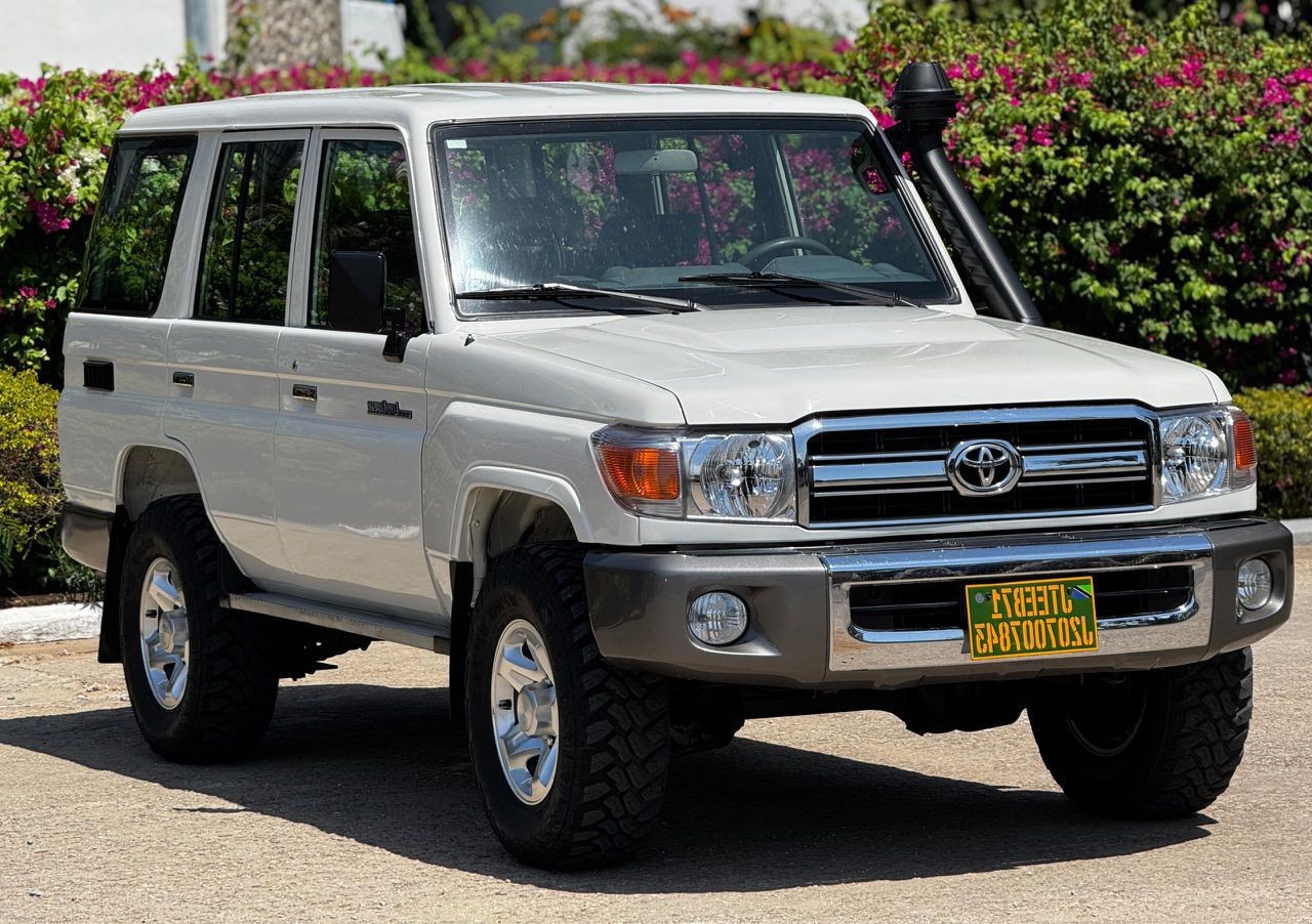 2010 TOYOTA LANDCRUISER ZX